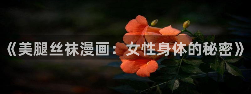 腐漫画网app下载：《美腿丝袜漫画：女性身体的秘密》