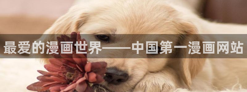 腐漫画网站入口：最爱的漫画世界——中国第一漫画网站