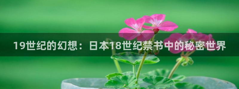 腐腐漫画网：19世纪的幻想：日本18世纪禁书中的秘密世界