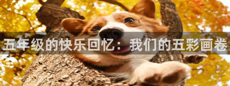 腐漫画网站入口：五年级的快乐回忆：我们的五彩画卷